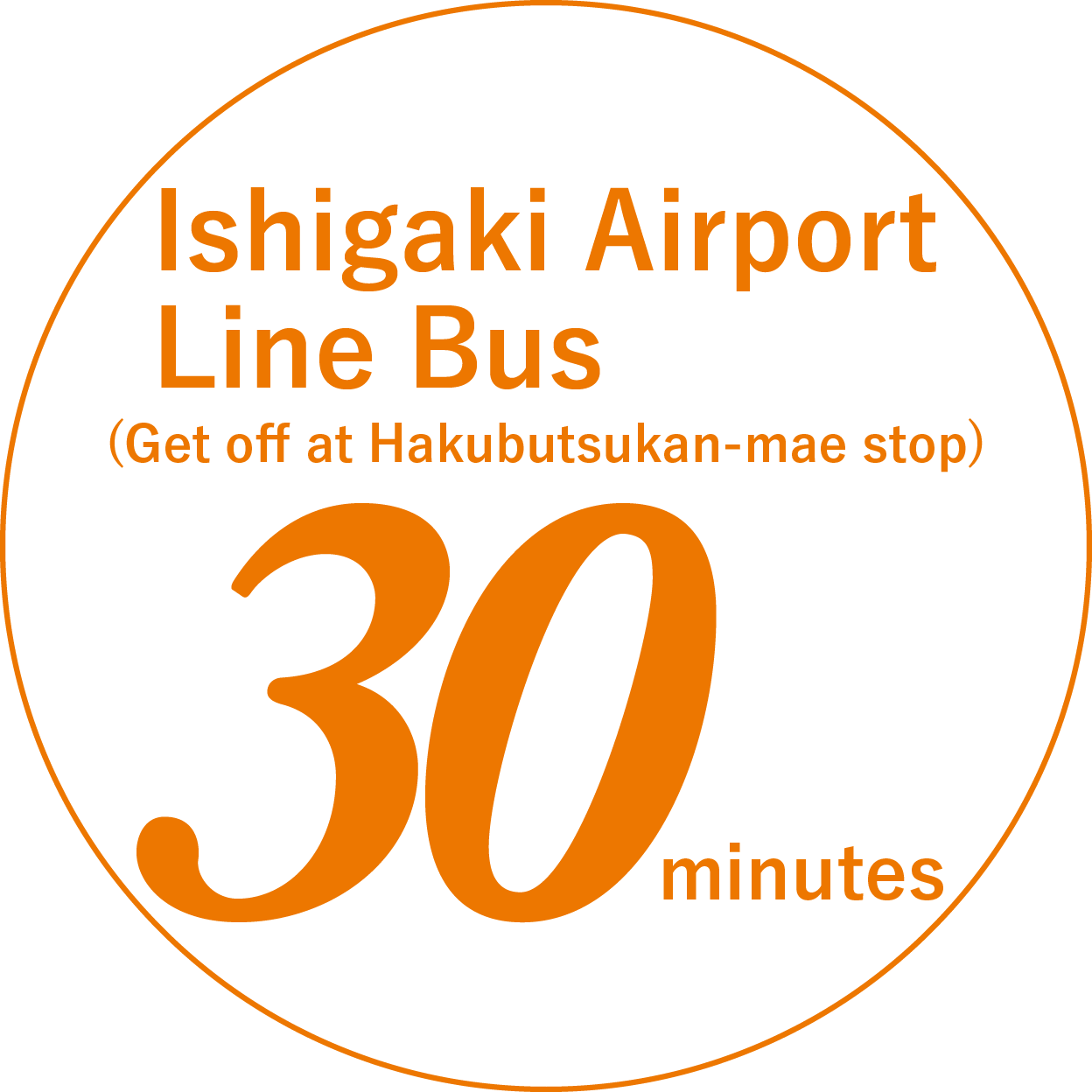 Ishigaki Airport Line Bus 30 minutes